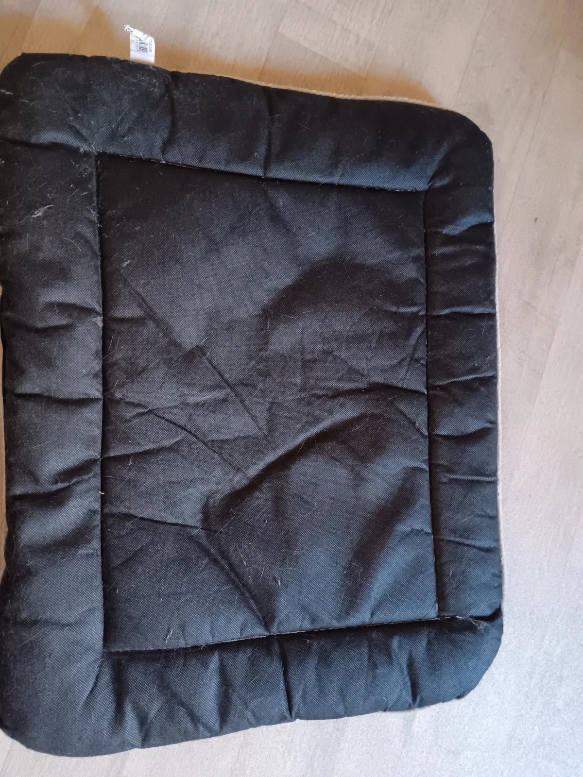 Cesta para gato – photo 4